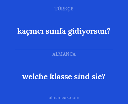 welche klasse sind sie? - kaçıncı sınıfa gidiyorsun?