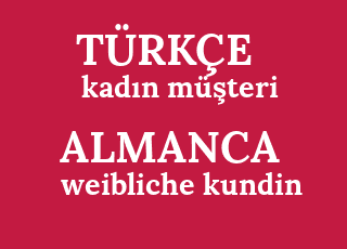 kad%C4%B1n+m%C3%BC%C5%9Fteri-weibliche+kundin.png