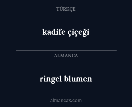 kadife çiçeği - ringel blumen