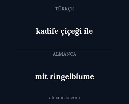 kadife çiçeği ile - mit ringelblume
