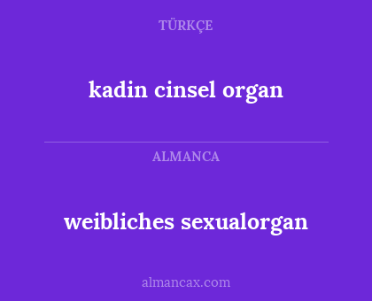 kadin cinsel organ - weibliches sexualorgan