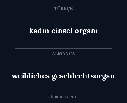 kadın cinsel organı - weibliches geschlechtsorgan