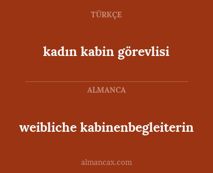 weibliche kabinenbegleiterin - kadın kabin görevlisi