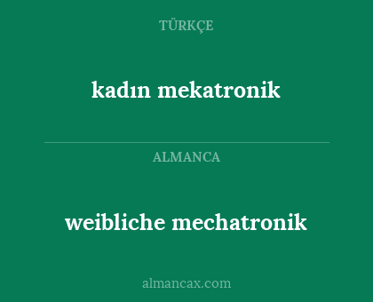 weibliche mechatronik - kadın mekatronik