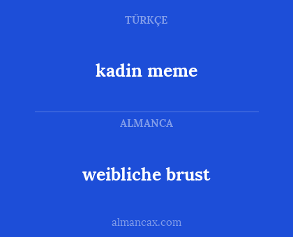 kadin meme - weibliche brust