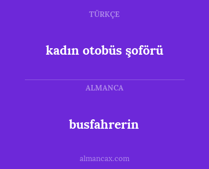 kadın otobüs şoförü - busfahrerin