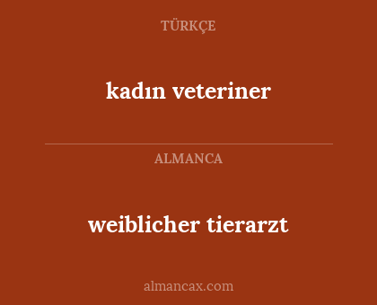 kadın veteriner - weiblicher tierarzt
