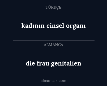 die frau genitalien - kadının cinsel organı