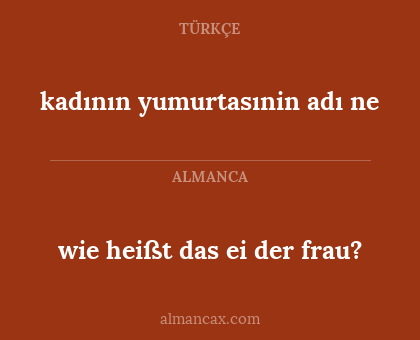 kadının yumurtasınin adı ne - wie heißt das ei der frau?