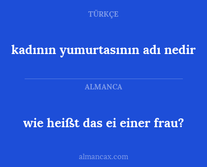 kadının yumurtasının adı nedir - wie heißt das ei einer frau?
