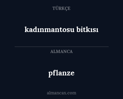 pflanze - kadınmantosu bitkısı