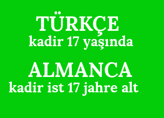 kadir+17+ya%C5%9F%C4%B1nda-kadir+ist+17+jahre+alt.png