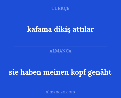 sie haben meinen kopf genäht - kafama dikiş attılar