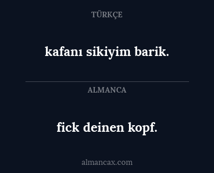 fick deinen kopf. - kafanı sikiyim barik.