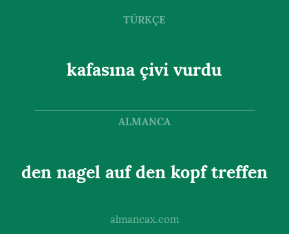 kafasına çivi vurdu - den nagel auf den kopf treffen