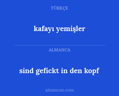 kafayı yemişler - sind gefickt in den kopf