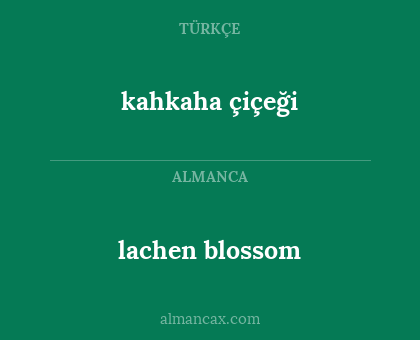 kahkaha çiçeği - lachen blossom