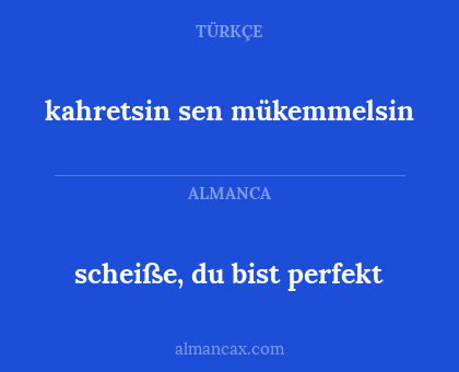 kahretsin sen mükemmelsin - scheiße, du bist perfekt