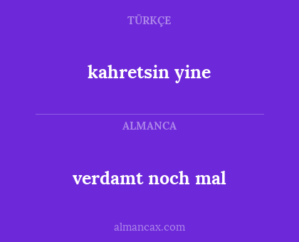 kahretsin yine - verdamt noch mal