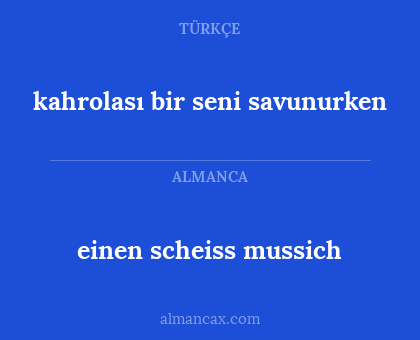 kahrolası bir seni savunurken - einen scheiss mussich