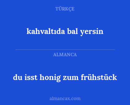 du isst honig zum frühstück - kahvaltıda bal yersin