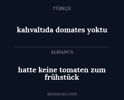 hatte keine tomaten zum frühstück - kahvaltıda domates yoktu