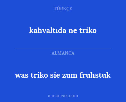 was triko sie zum fruhstuk - kahvaltıda ne triko