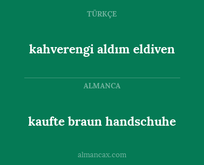 kahverengi aldım eldiven - kaufte braun handschuhe