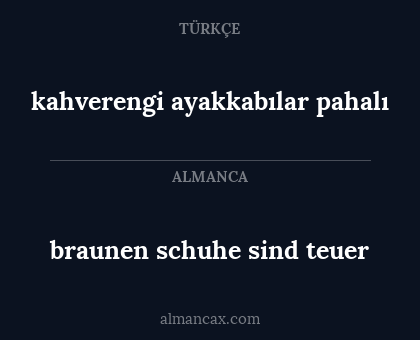 braunen schuhe sind teuer - kahverengi ayakkabılar pahalı