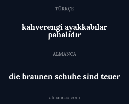 die braunen schuhe sind teuer - kahverengi ayakkabılar pahalıdır