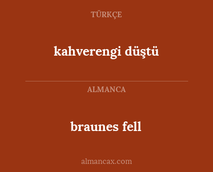 braunes fell - kahverengi düştü