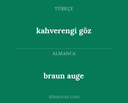 braun auge - kahverengi göz