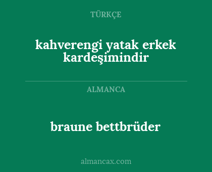 kahverengi yatak erkek kardeşimindir - braune bettbrüder