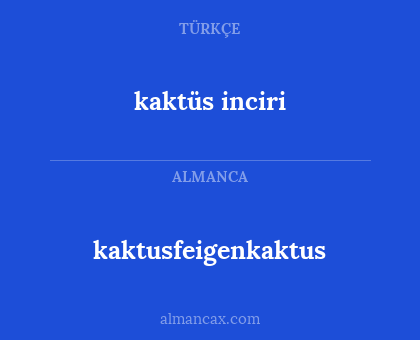 kaktusfeigenkaktus - kaktüs inciri