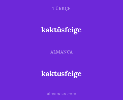 kaktusfeige - kaktüsfeige