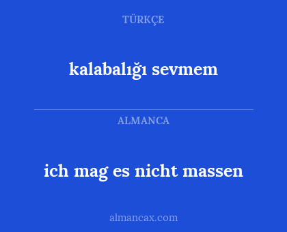 kalabalığı sevmem - ich mag es nicht massen