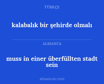 muss in einer überfüllten stadt sein - kalabalık bir şehirde olmalı