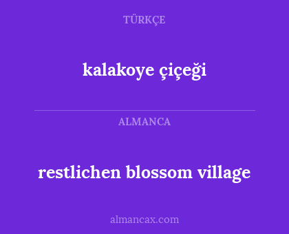 kalakoye çiçeği - restlichen blossom village