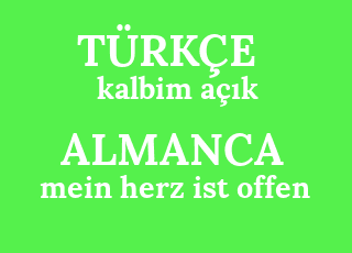 kalbim+a%C3%A7%C4%B1k-mein+herz+ist+offen.png
