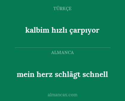 mein herz schlägt schnell - kalbim hızlı çarpıyor