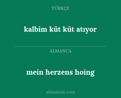 mein herzens hoing - kalbim küt küt atıyor