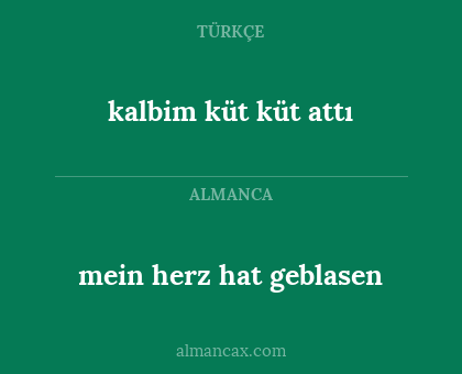 mein herz hat geblasen - kalbim küt küt attı