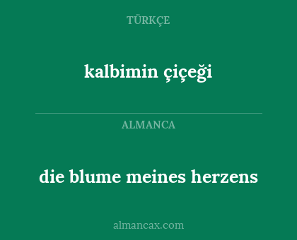 die blume meines herzens - kalbimin çiçeği