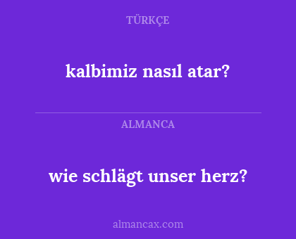 kalbimiz nasıl atar? - wie schlägt unser herz?