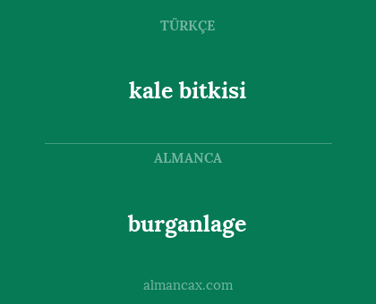 burganlage - kale bitkisi