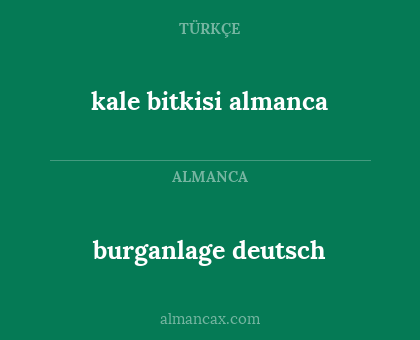 kale bitkisi almanca - burganlage deutsch