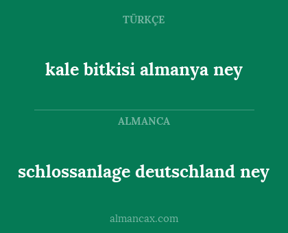 kale bitkisi almanya ney - schlossanlage deutschland ney