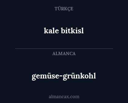 kale bitkisl - gemüse-grünkohl