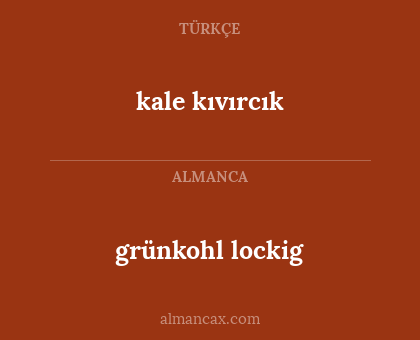 grünkohl lockig - kale kıvırcık