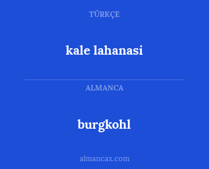 burgkohl - kale lahanasi